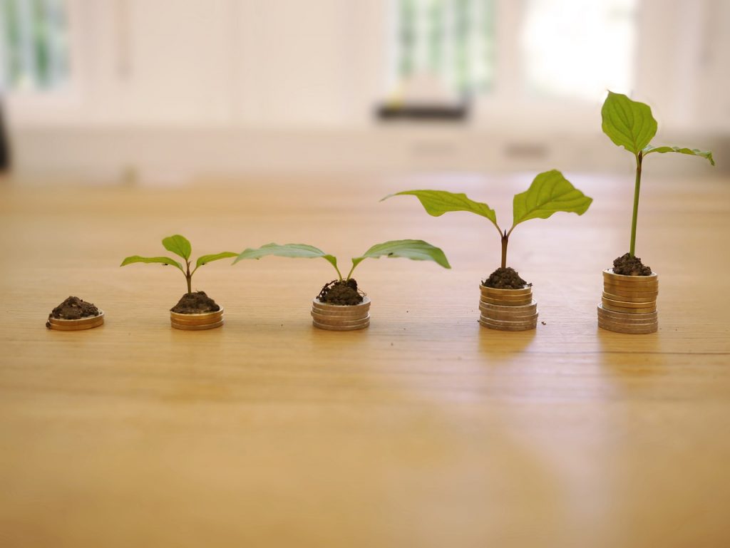 a group of small plants in small pots on a table