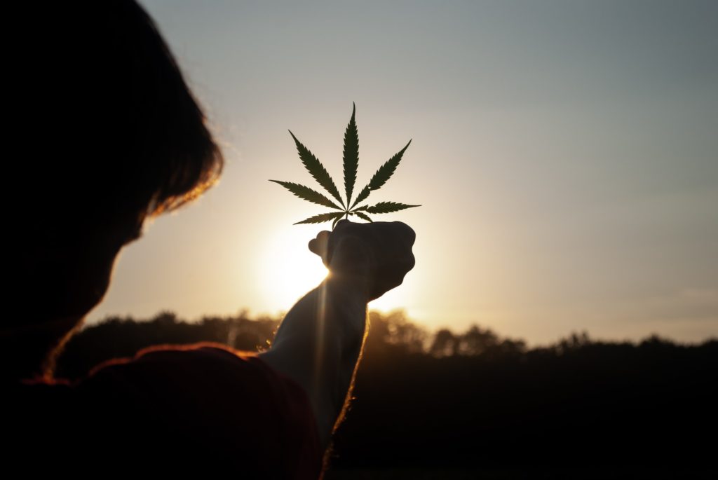 a person holding a flower