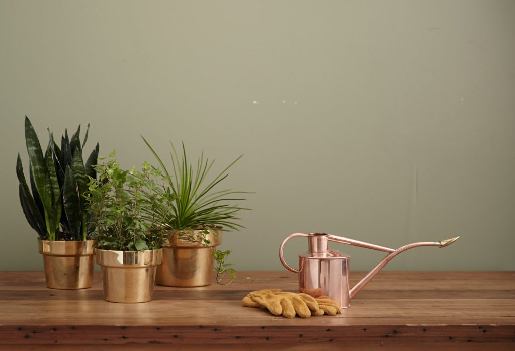 a spoon next to a jar of peanut butter and a couple of plants