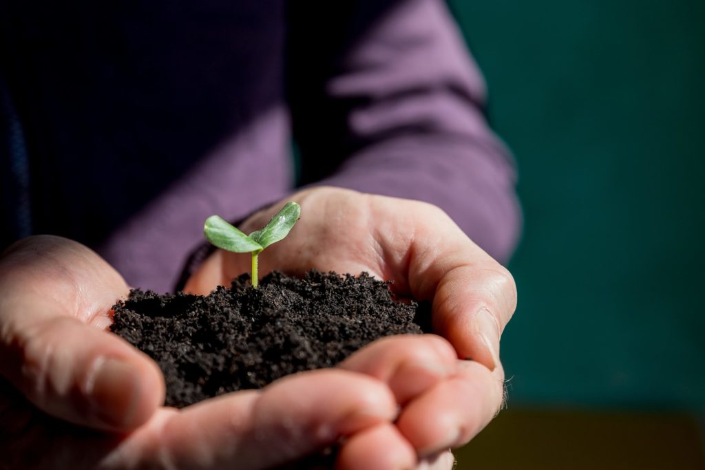 holding soil in hands