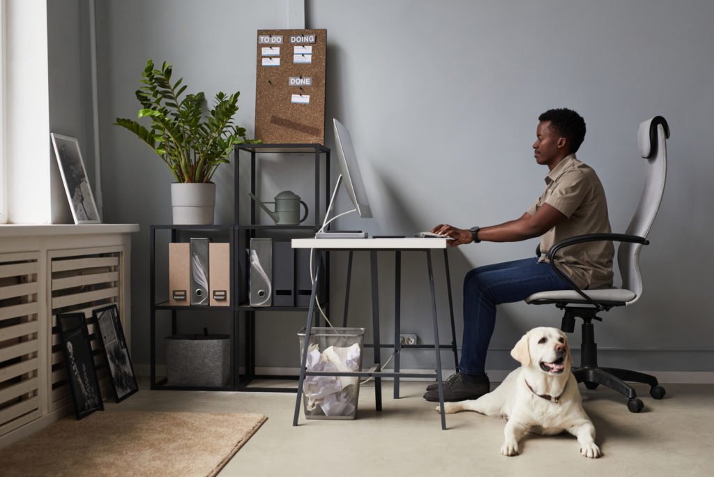 Young Man with Dog in Office